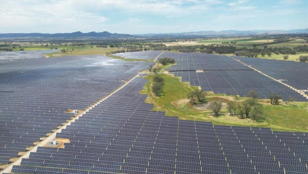 ep planta en australia