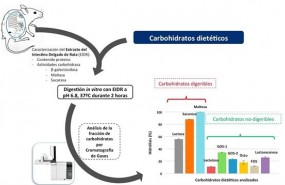 ep uam modelo in vitroevaluardigestibilidadcarbohidratos dieteticos