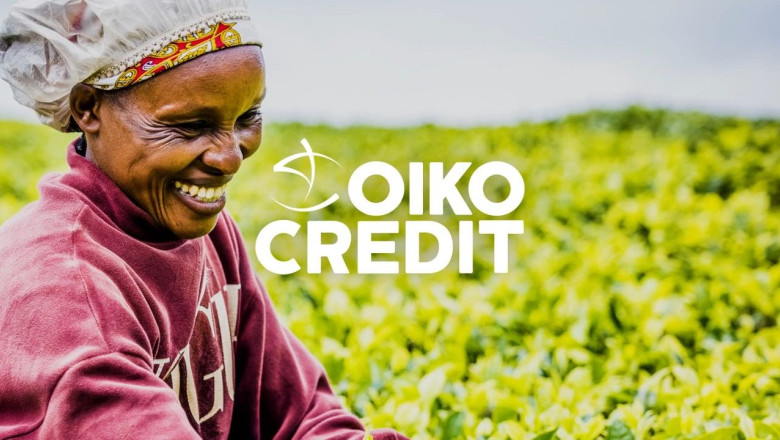 oikocredit 20241122121040