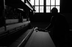 1583229376 diego arenas 1583229376 diego arenas