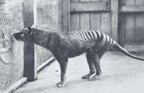 1613586354 photo2021 02 17 19 25 40