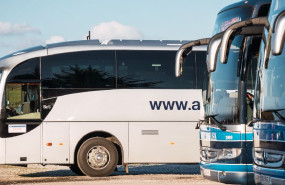 almas industries alsa