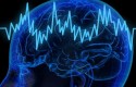 cb cerebro trading cb cerebro trading