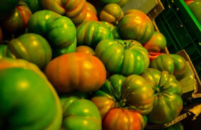 ep archivo tomates consumo precio precios ipc supermercado alimentos compras comprar frutas ep archivo tomates consumo precio precios ipc supermercado alimentos compras comprar frutas