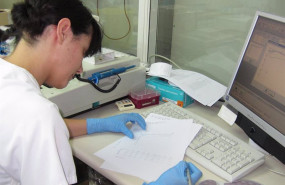 ep archivo una mujer trabajando en un laboratorio ep archivo una mujer trabajando en un laboratorio