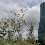 ep archivo   vista de la torre espacio a 16 de octubre de 2023 en madrid con el logo de ohla en lo