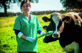 ep covap recibecertificado aenorbienestar animalsu modelocalidadorigenla produccion