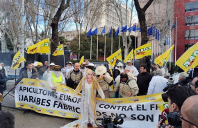ep manifestacion de apicultores en madrid