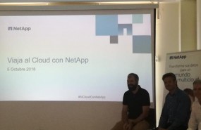 ep netapp implantaserviciogoogle cloud