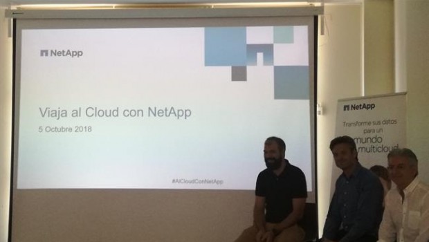 ep netapp implantaserviciogoogle cloud