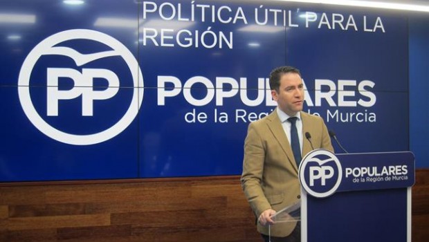 ep portavoz adjuntoppcongreso teodoro garcia