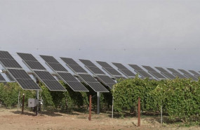 ep proyecto wine solar de iberdrola