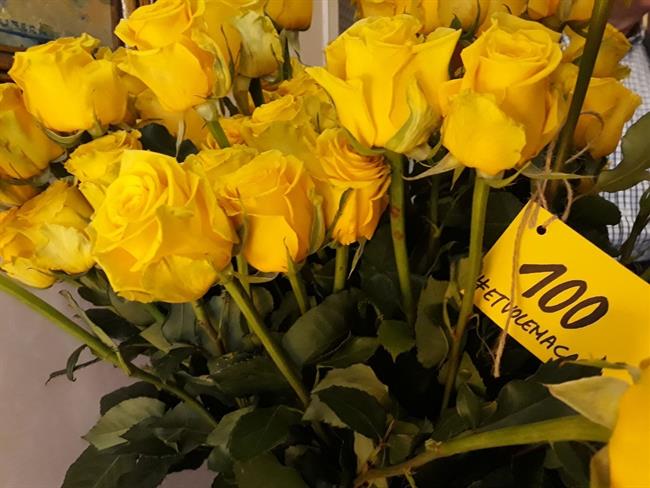 Rosas amarillas entregadas a los padres de Jordi Cuixart | ÒMNIUM ep rosas amarillas entregadaslos padresjordi cuixart