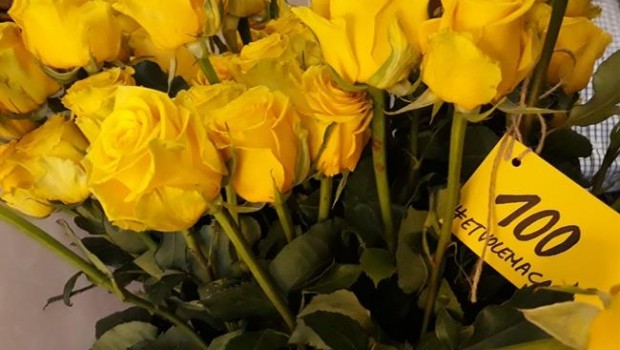ep rosas amarillas entregadaslos padresjordi cuixart