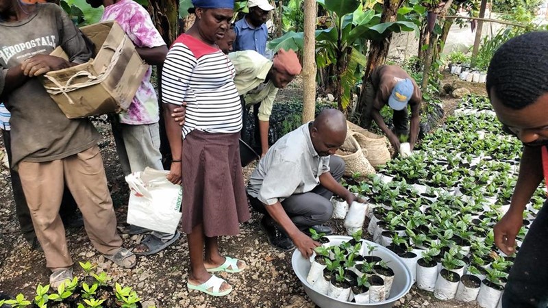 ep voluntarios participando en la reserva de la biosfera de la selle haiti
