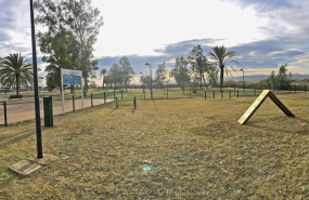 juegos caninos torreblanca 1 20231227120040 