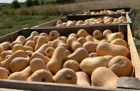 np desperdicio alimentario 1 np desperdicio alimentario 1