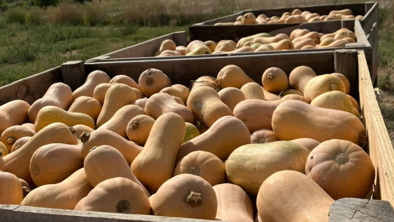 np desperdicio alimentario 1 