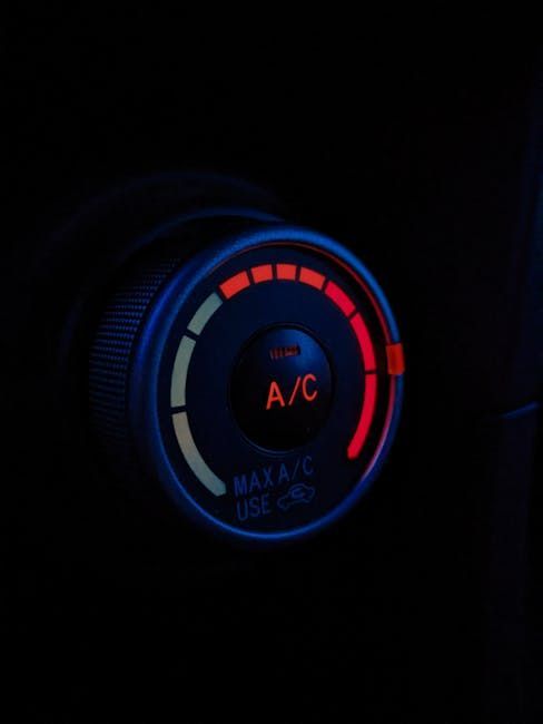 pexels pexels photo 25188536