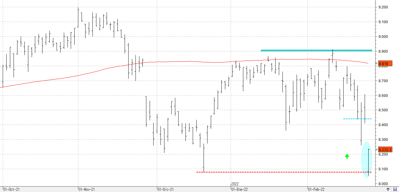 w240222ibex